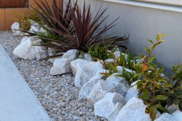 planting-groundcover.jpg