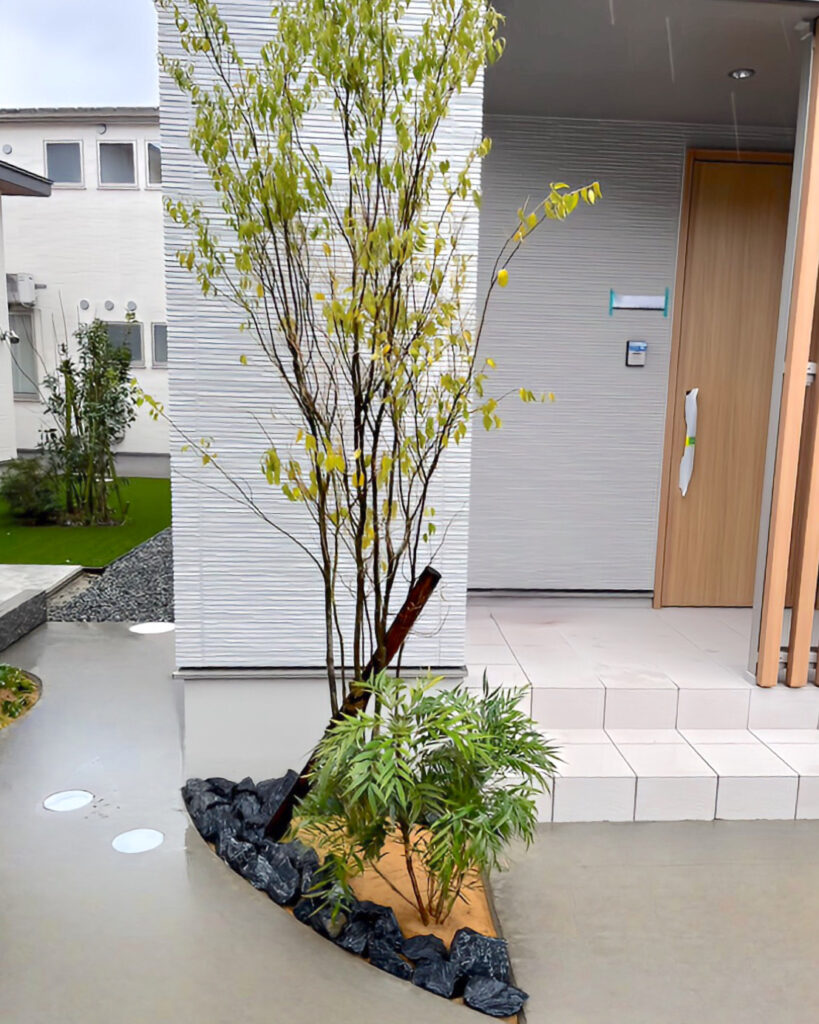植栽
