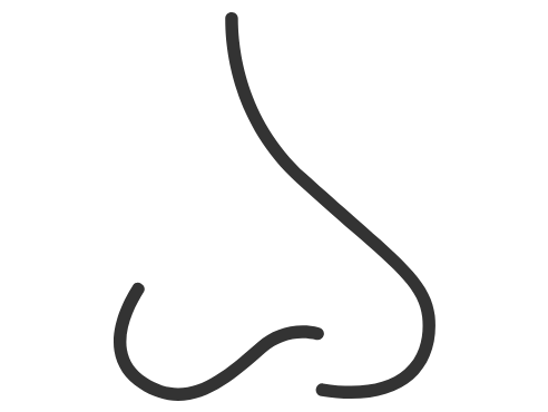 Nose2