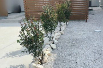 Planting Himesharinbai
