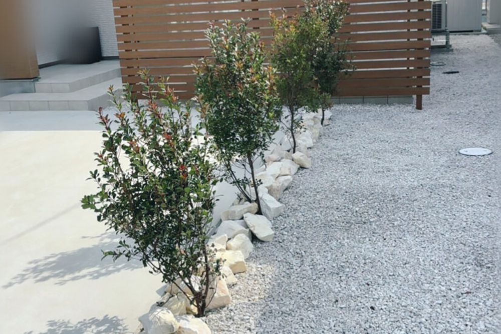 Planting Himesharinbai