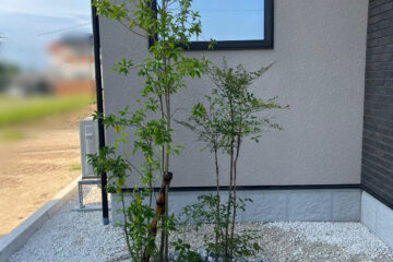 ソヨゴ・ナンテン・植栽工事