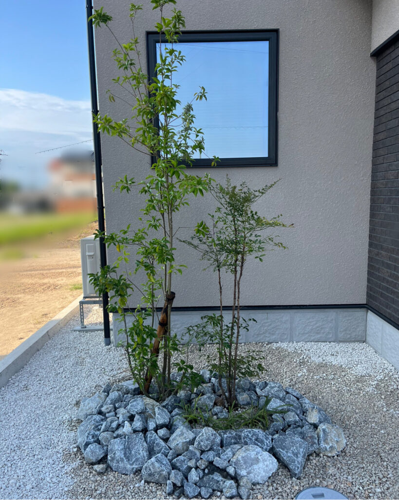 ソヨゴ・ナンテン・植栽工事