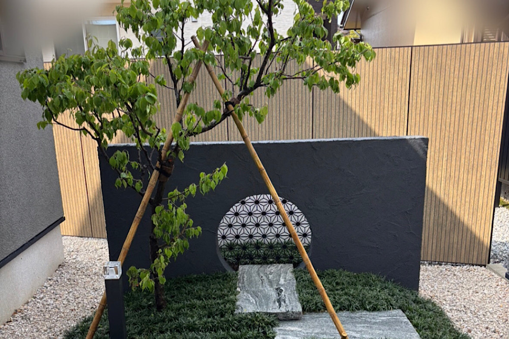 和風庭園・梅・植栽・タマリュウ