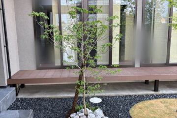 ウッドデッキ・リウッドデッキ・中庭・植栽