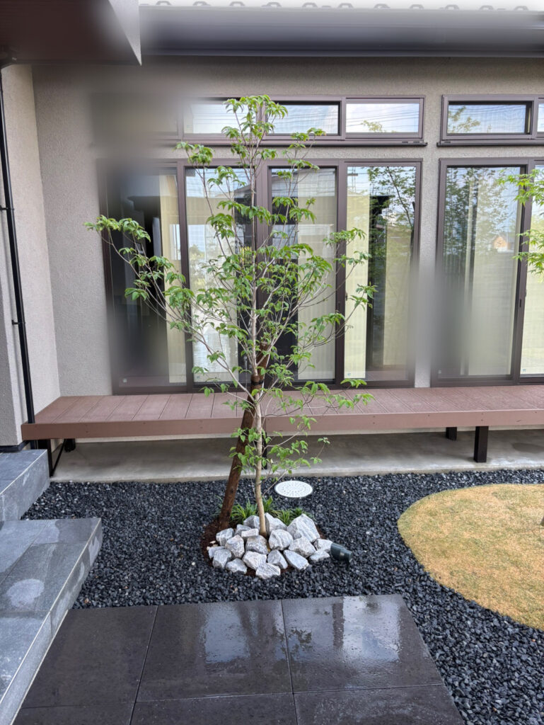 ウッドデッキ・リウッドデッキ・中庭・植栽