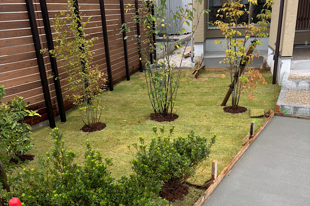 ウッドフェンス 植栽 　植栽デザイン 天然芝 富山外構